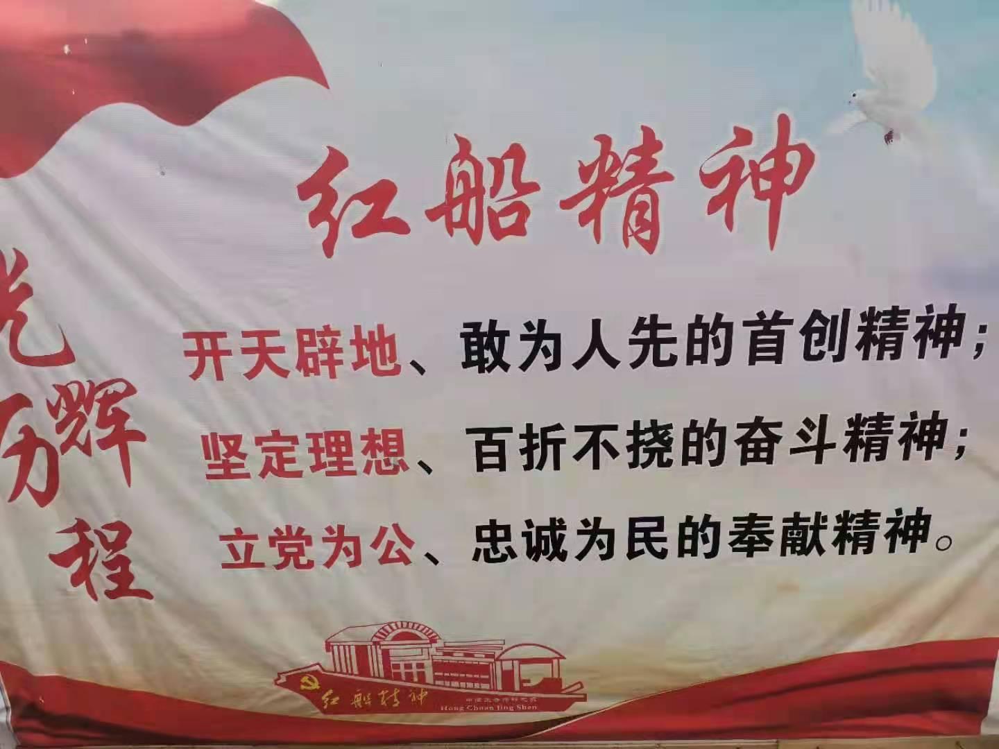 袋熊肥胖的体型源自于它们吃草的习惯